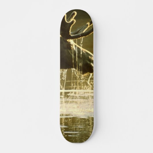 Zijn hoofd in water gooien skateboard (Voorkant)