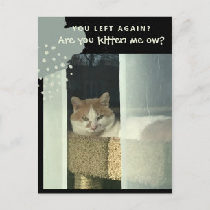 Zijn jullie mij aan het katten Oh Kat op Stok Briefkaart