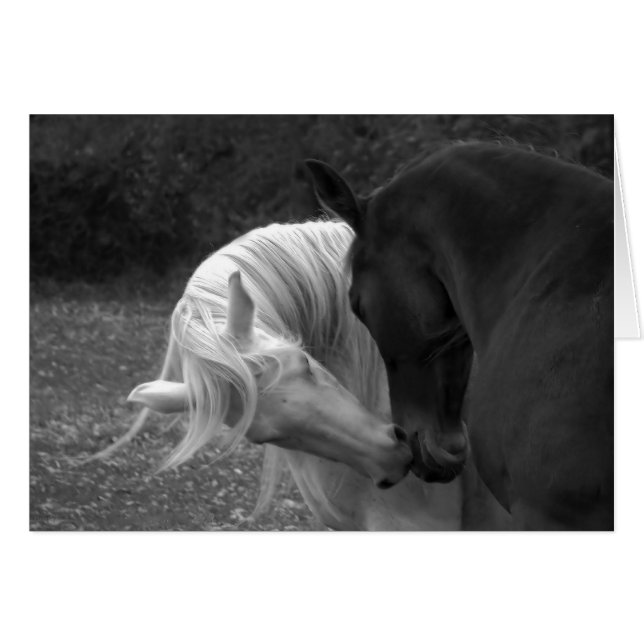 Zijn liefde (Voorkant Horizontaal)