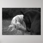 Zijn liefde poster (Voorkant)