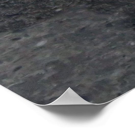 Zijn Meester's Vice Poster (Hoek)