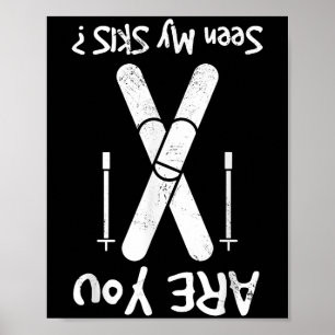 Zijn mijn skis gezien, skiën, skiër poster