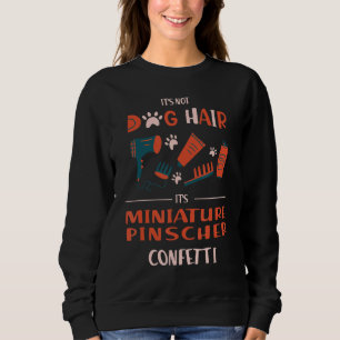 Zijn niet-Dog Hair zijn miniatuur Pinscher Confett Trui