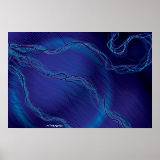 Zijn noodly aanhangsels poster (Voorkant)