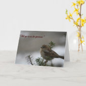 "Zijn oog is op de mus" Kaart (Gele Bloem)