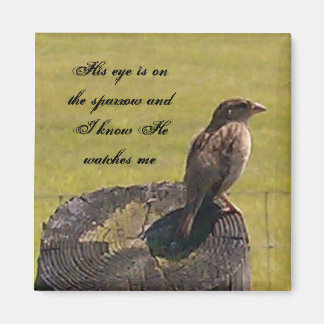 Zijn oog is op de mus magneet