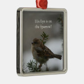 Zijn oog ligt op de mus, de bediende metalen ornament (Rechts)