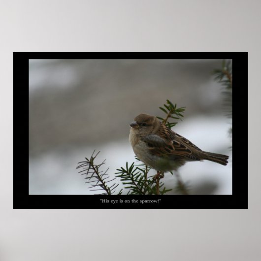 "Zijn oog staat op de loer! poster (Voorkant)