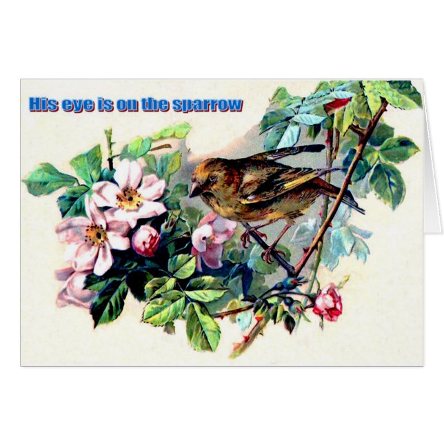 Zijn oog staat op de mus. (Voorkant Horizontaal)