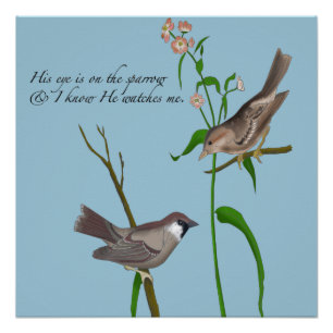 Zijn oog staat op de Sparrow. Poster