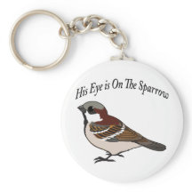 Zijn oog staat op de Sparrow.