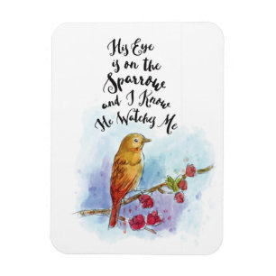 Zijn oog staat op de spinnemagneet. magneet