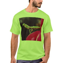 Zijn we al geïntroduceerd?