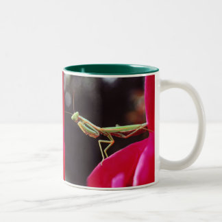 Zijn we al geïntroduceerd? tweekleurige koffiemok