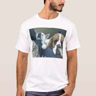 ZIJN WE ER NOG STEEDS T-SHIRT 4