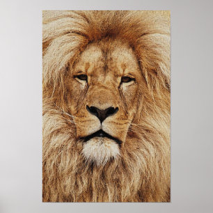 Zijne Koninklijke Hoogheid Print