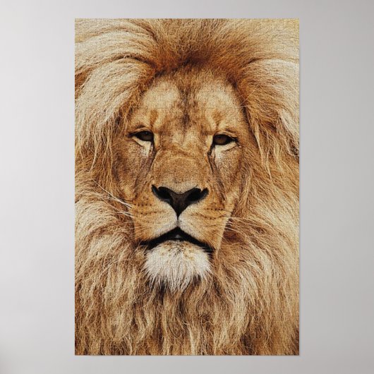 Zijne Koninklijke Hoogheid Print (Voorkant)
