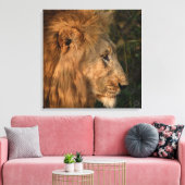 Zijne Majesteit African Lion Wrapped Canvas Print (Insitu (Woonkamer))