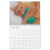 Zijne Majesteit De Kat 2011 Agenda Kalender (Mar 2027)