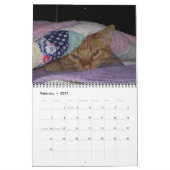 Zijne Majesteit De Kat 2013 Agenda Kalender (Feb 2027)