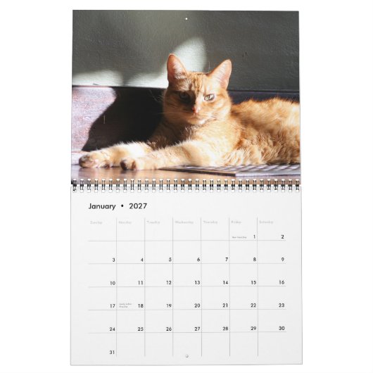 Zijne Majesteit De Kat 2013 Agenda Kalender (Jan 2027)