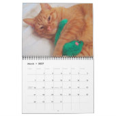 Zijne Majesteit De Kat 2013 Agenda Kalender (Mar 2027)