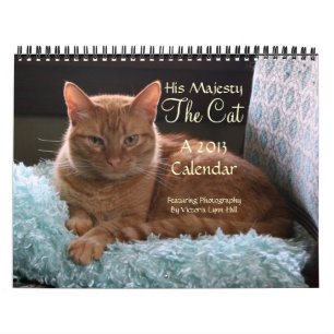 Zijne Majesteit De Kat 2013 Agenda Kalender
