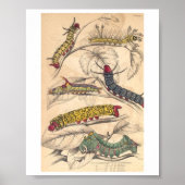 Zijpijlers Poster (Voorkant)