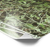 Zijpoten Foto Afdruk (Hoek)