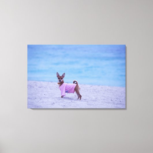 zijprofiel van een hond die op het strand staat; canvas afdruk (Voorkant)