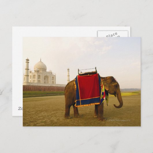 zijprofiel van een olifant, Taj Mahal, India Briefkaart (Voorkant / Achterkant)