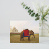 zijprofiel van een olifant, Taj Mahal, India Briefkaart (Staand voorkant)