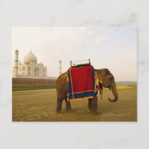 zijprofiel van een olifant, Taj Mahal, India Briefkaart