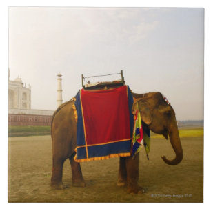 zijprofiel van een olifant, Taj Mahal, India Tegeltje