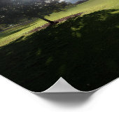 Zilker Park Austin Texas Poster (Hoek)