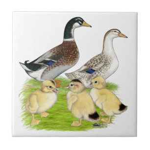 Zilver Appleyard Familie Tegeltje