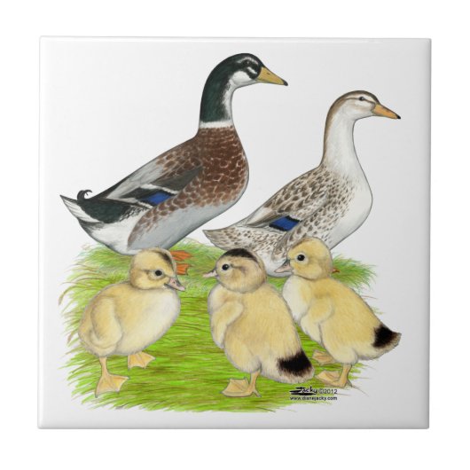 Zilver Appleyard Familie Tegeltje (Voorkant)