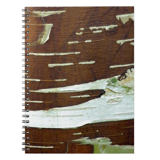 Zilver Birch Natural Tree Bark Notitieboek (Voorkant)