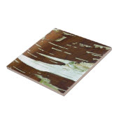Zilver Birch Natural Tree Bark Tegeltje (Zijkant)