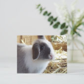 Zilver Briefkaart (Staand voorkant)