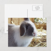 Zilver Briefkaart (Voorkant / Achterkant)