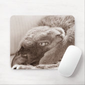 Zilver de Cat Mousepad Muismat (Met muis)