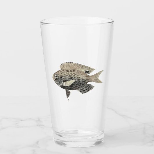 Zilver en goud glanzende vissen glas (Voorkant)