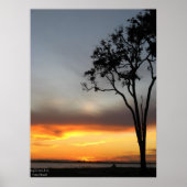 zilver en goud poster (Voorkant)