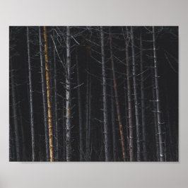 Zilver- en goudboomstammen poster