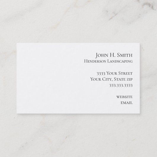 Zilver en groen elegant Visitekaartje (Achterkant)