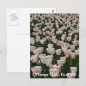 Zilver- en roze tulpen briefkaart (Voorkant / Achterkant)