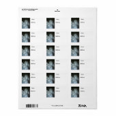 Zilver Etiket (Full Sheet)