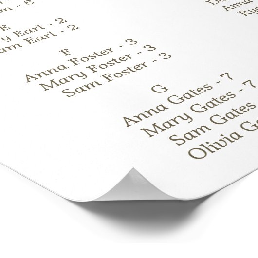 Zilver & Goud Elegante Winter Quinceañera Poster (Hoek)