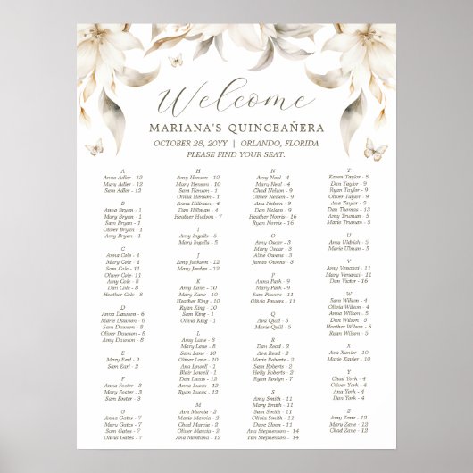 Zilver & Goud Elegante Winter Quinceañera Poster (Voorkant)